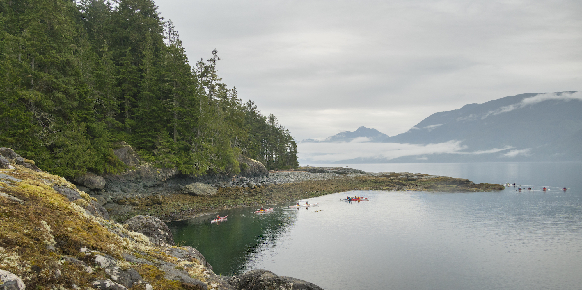 Sea kayakers paddling through a marine protected area in British Columbia on a foggy morning